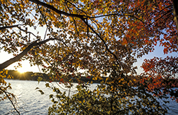 Maine Waterfront Properties