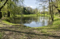 Land with a Pond in Maine
